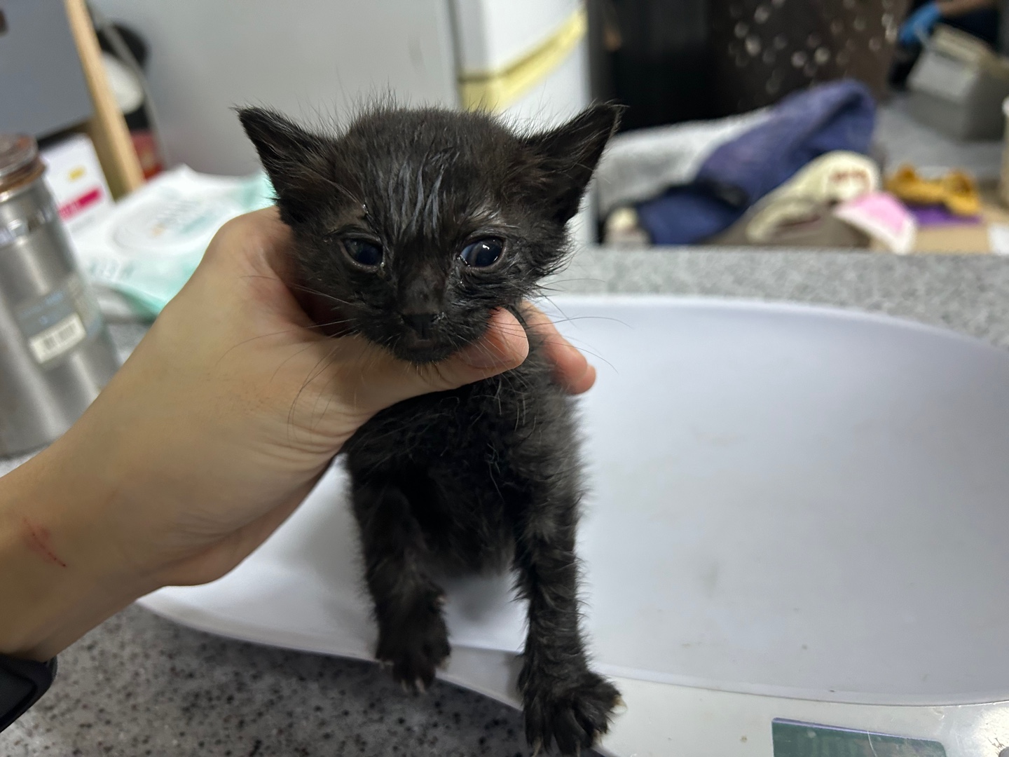 종료(기증) 한국 …